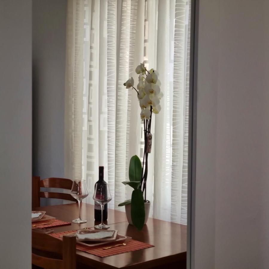 Green Villa Вльора Екстер'єр фото
